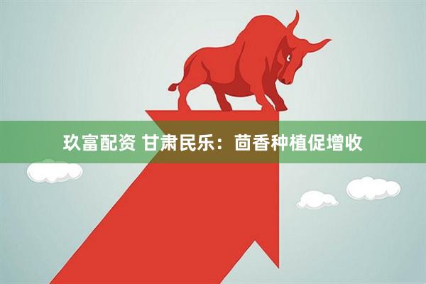 玖富配资 甘肃民乐：茴香种植促增收