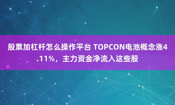 股票加杠杆怎么操作平台 TOPCON电池概念涨4.11%，主力资金净流入这些股