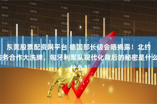 东莞股票配资网平台 德国部长级会晤揭露！北约防务合作大洗牌，匈牙利军队现代化背后的秘密是什么？