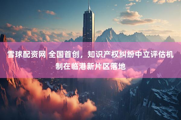 雪球配资网 全国首创，知识产权纠纷中立评估机制在临港新片区落地